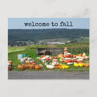 Carte Postale welcome to fall pumpkin farm post card
