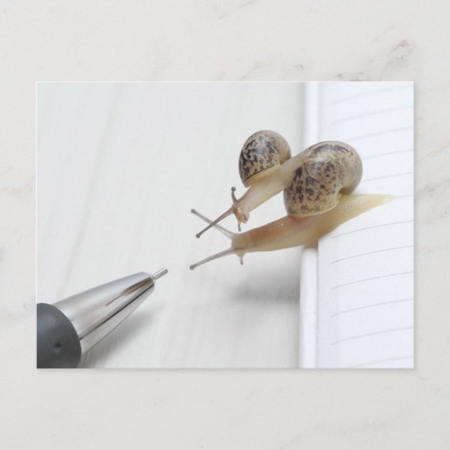 Carte Postale We'll help you study (Devant)