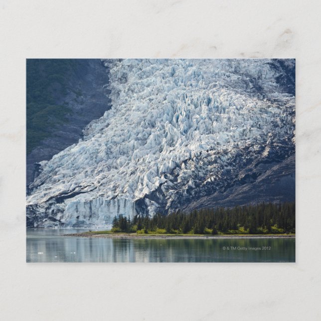Carte Postale Wellesley Glacier in College Fjord (Devant)