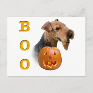 Carte Postale Welsh Terrier Boo