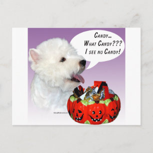 Carte Postale West Highland White Terrier Halloween Candy