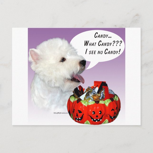 Carte Postale West Highland White Terrier Halloween Candy (Devant)