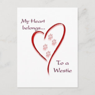 Carte Postale West Highland White Terrier Heart Belongs