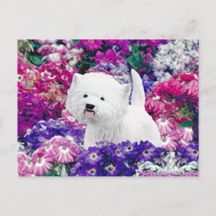 Carte Postale West Highland White Terrier Peinture Chien Art