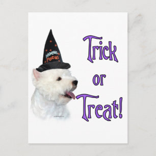 Carte Postale West Highland White Terrier Trick