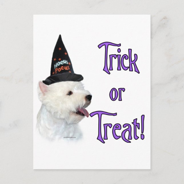 Carte Postale West Highland White Terrier Trick (Devant)