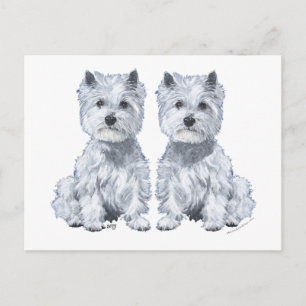 Carte Postale West Highland White Terrier Twins !