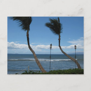 Carte postale West Maui Palms