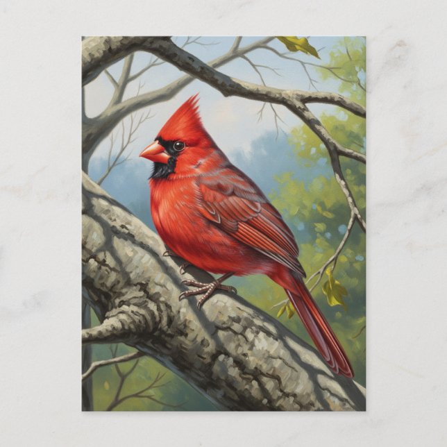 Carte Postale West Virginia State Bird Northern Cardinal (Devant)