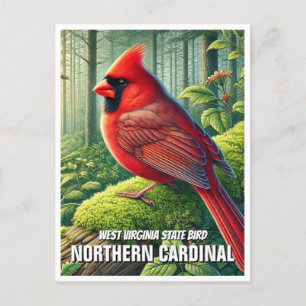 Carte Postale West Virginia State Bird Northern Cardinal