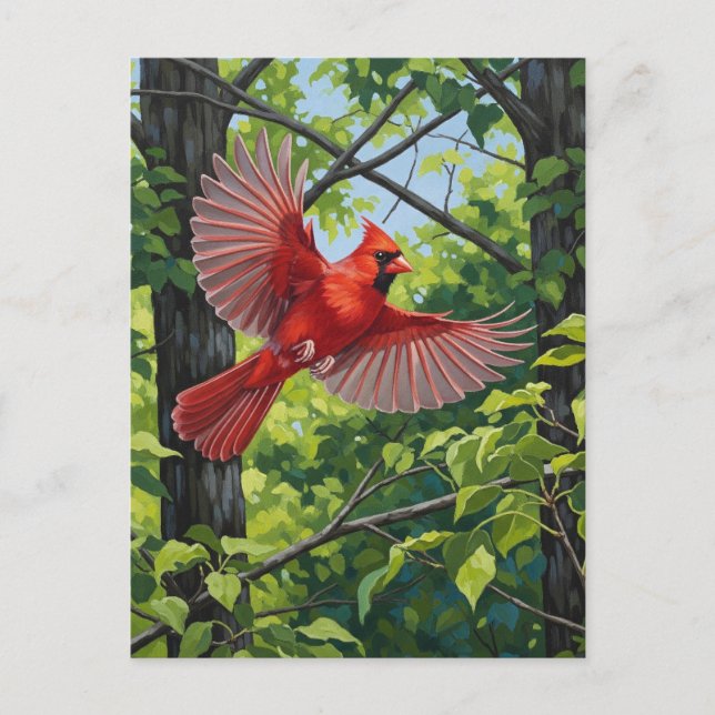 Carte Postale West Virginia State Bird Northern Cardinal (Devant)