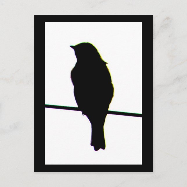 Carte postale Western Bluebird silhouette (Devant)