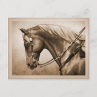 Western Ranch Horse Vieux Photo Sepia