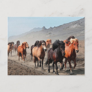 Carte Postale Western Trail
