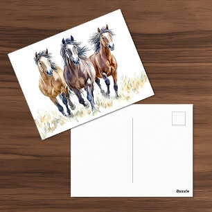 Carte postale Western Wild & Free Mustang Hors