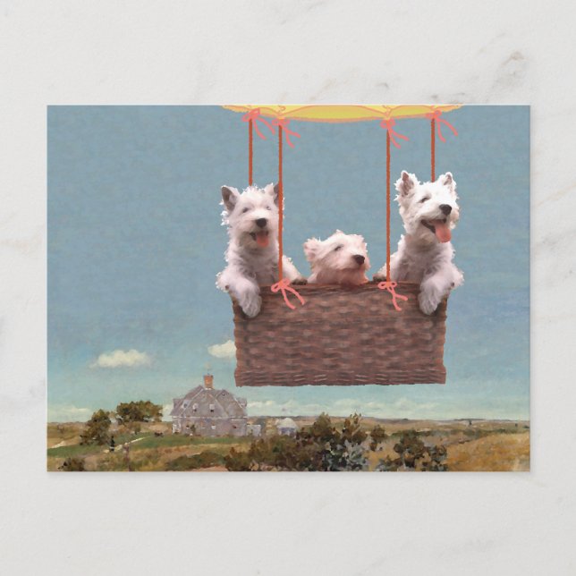 Carte postale Westie (Devant)