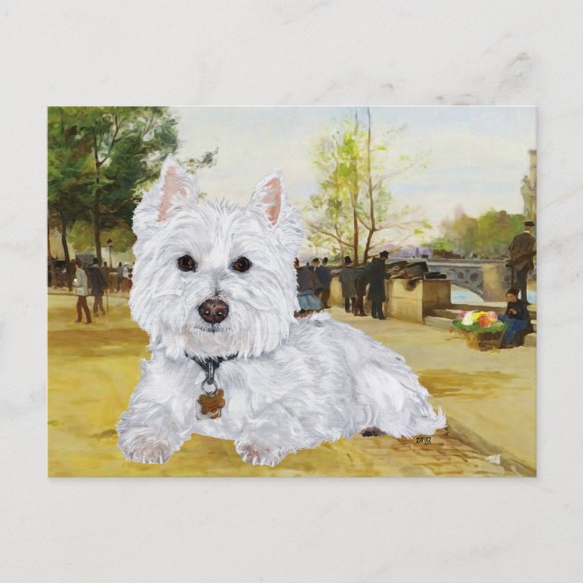 Carte postale Westie (Devant)