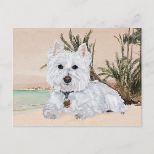 Carte Postale Westie à la plage