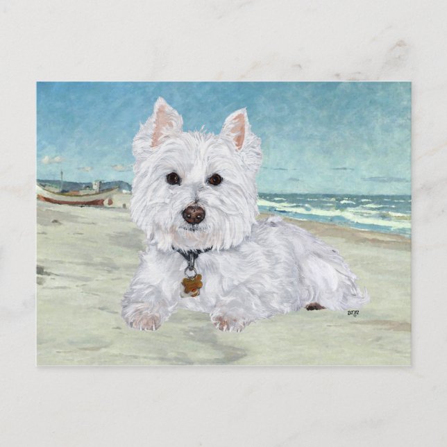 Carte Postale Westie à la plage (Devant)