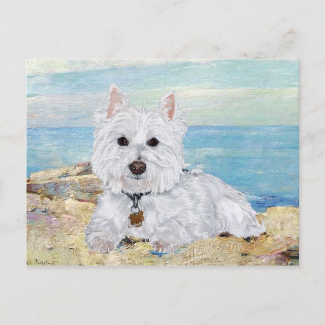 Carte Postale Westie à la plage (Devant)