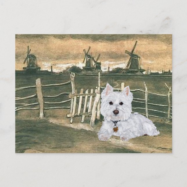 Carte Postale Westie avec des moulins à vent (Devant)