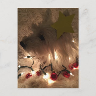 Carte Postale Westie électrique