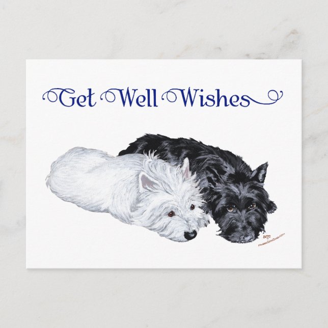 Carte Postale Westie et Scottie au repos (Devant)