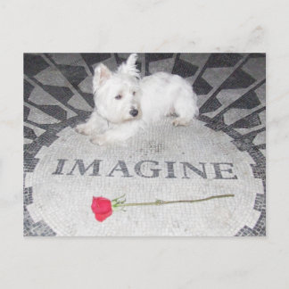 Carte Postale Westie imagine la paix mondiale