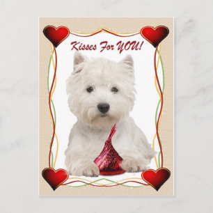 Carte Postale Westie Kisses Pour Vous