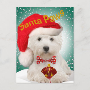 Carte postale Westie Père Noël Paws