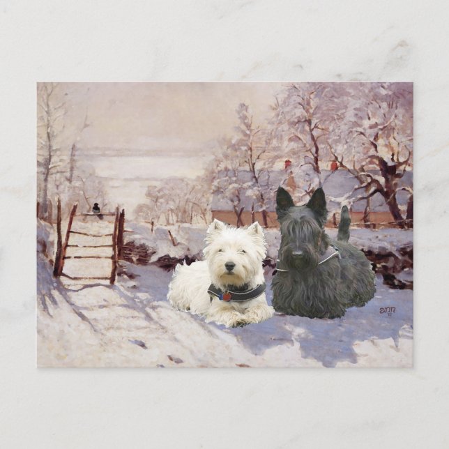Carte Postale Westie & Scottie Hiver Pie (Devant)
