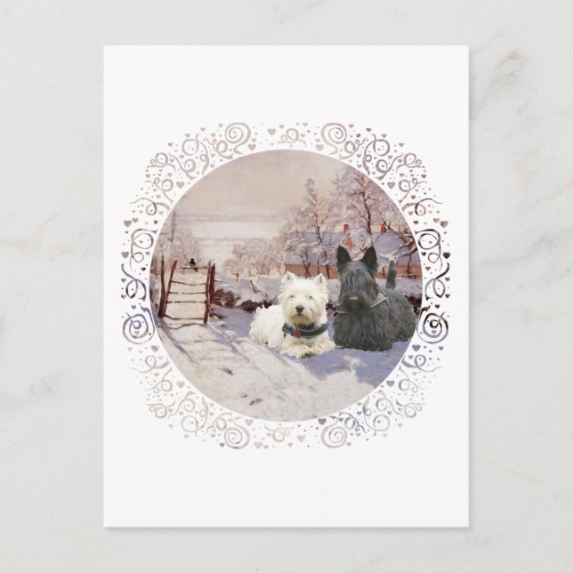 Carte Postale Westie & Scottie Hiver Pie (Devant)