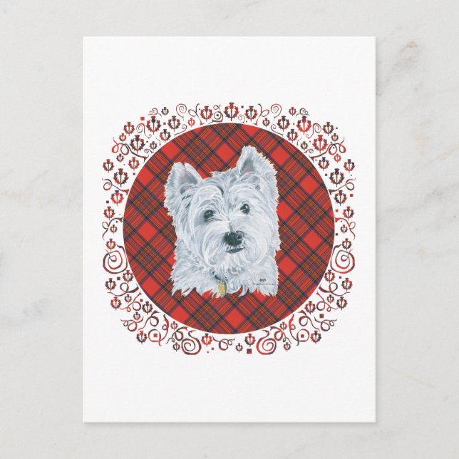 Carte Postale Westie sur Tartan (Devant)