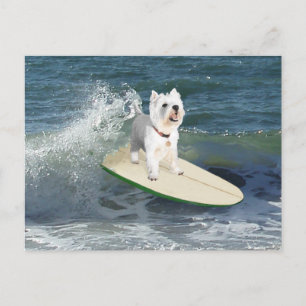 Carte Postale Westie Surfeur