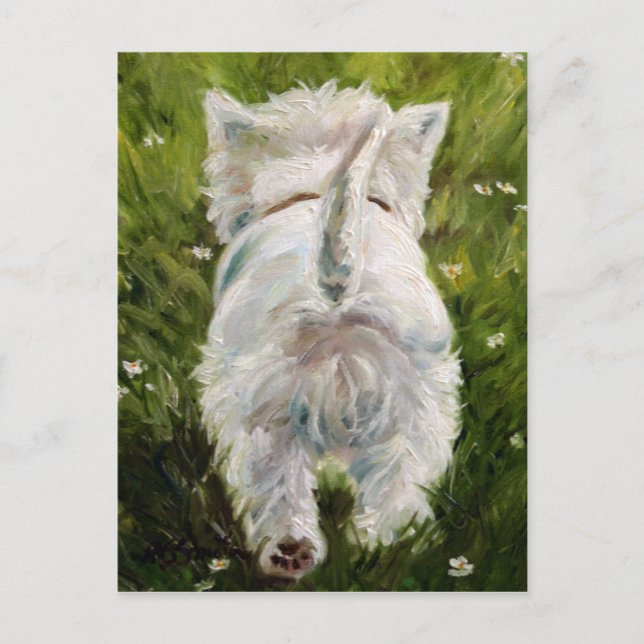 Carte Postale Westie West Highland Terrier Post Card (Devant)