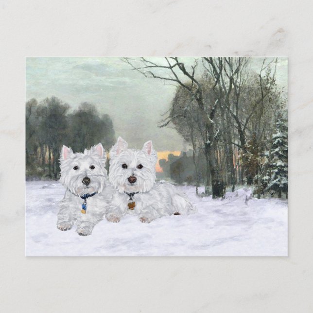 Carte Postale Westies en hiver (Devant)