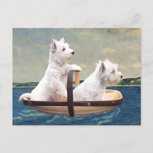 Carte Postale Westies prennent la mer (Devant)