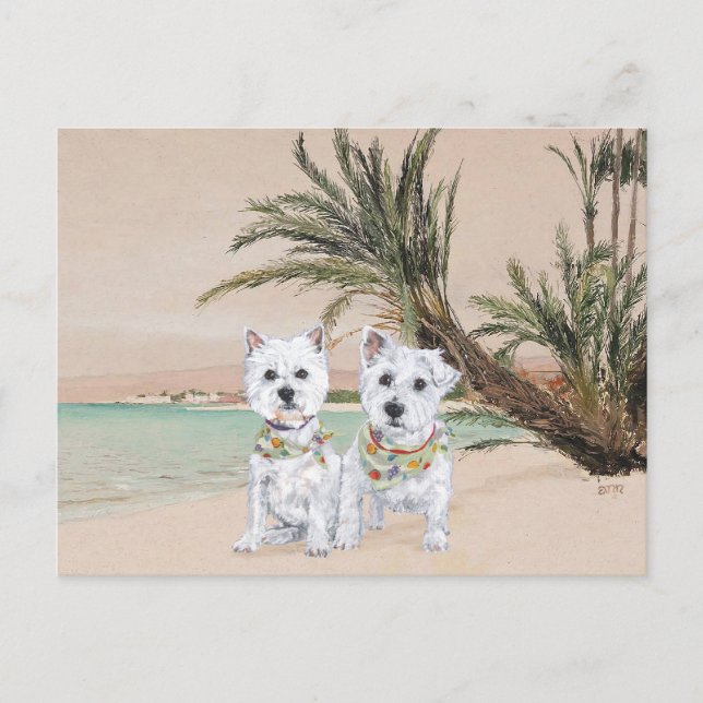 Carte Postale Westies sur une plage de Palmyre (Devant)