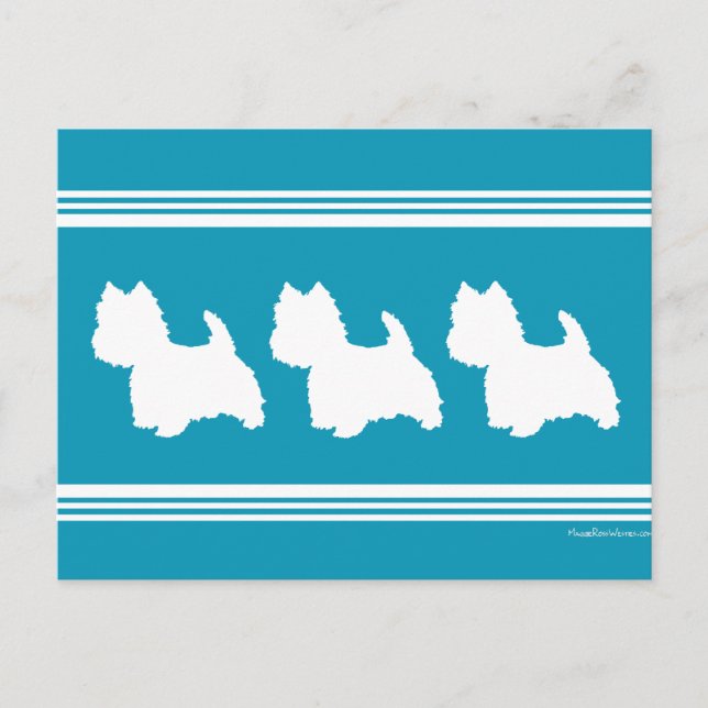 Carte Postale Westies turquoise (Devant)