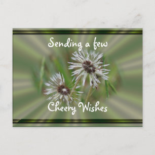 Carte postale Wet Dandelion- cheer ou toute occasi
