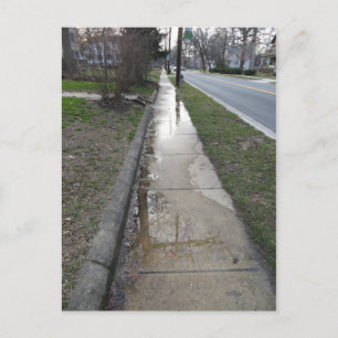 Carte Postale Wet Sidewalk