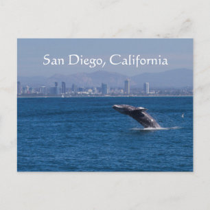 Carte Postale Whale et San Diego skyline