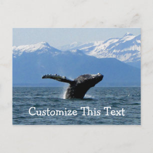 Carte Postale Whale Playtime ; Personnalisable 