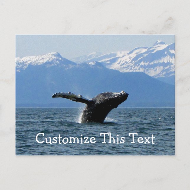 Carte Postale Whale Playtime ; Personnalisable  (Devant)