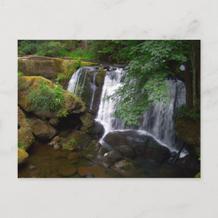 Carte Postale Whatcom Falls