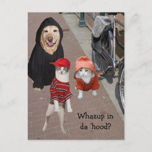 Carte Postale Whazup in da 'hood ?