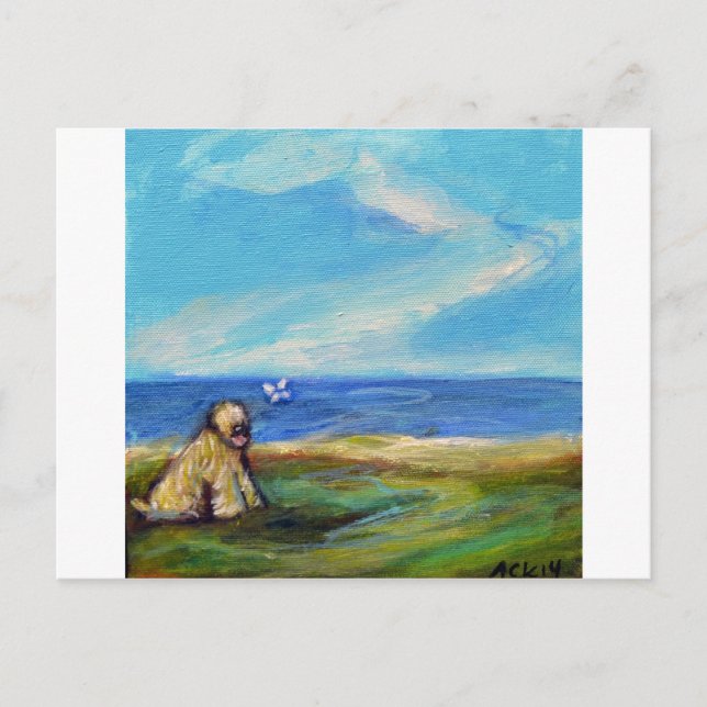 Carte Postale Wheaten Ocean Breeze (Devant)