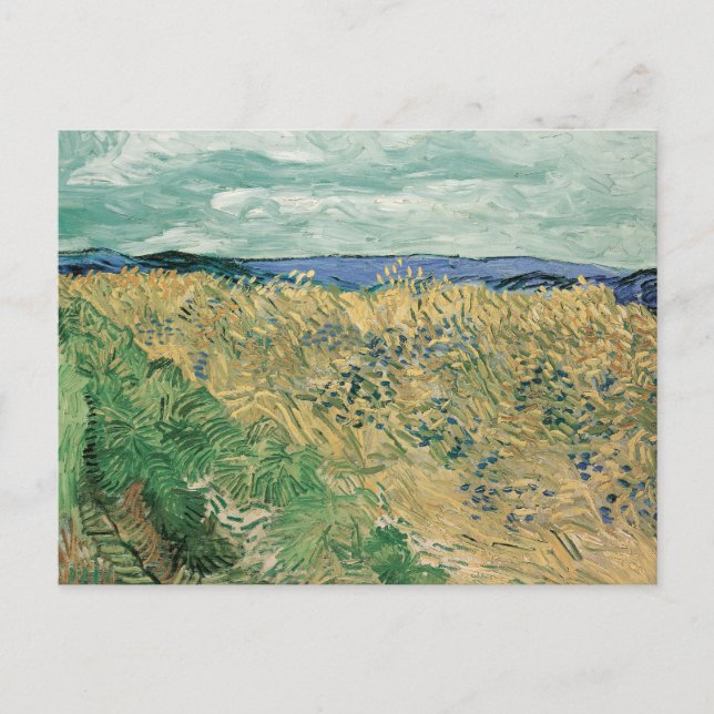 Carte Postale Wheatfield avec Cornflowers | Vincent van Gogh (Devant)
