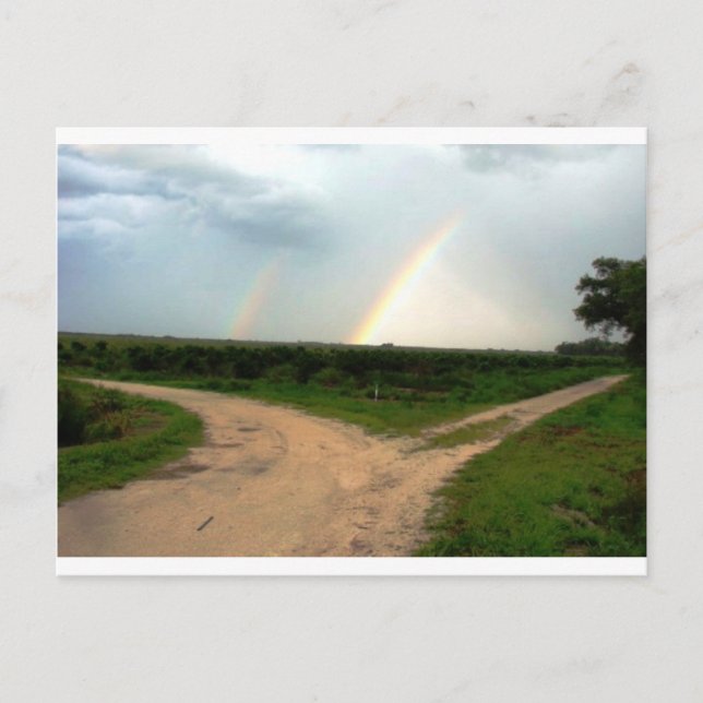 Carte Postale Which way now (Devant)