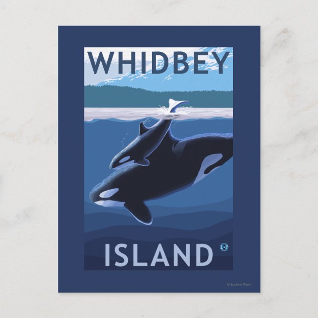 Carte Postale Whidbey Island, Washington Orca et Calf (Devant)